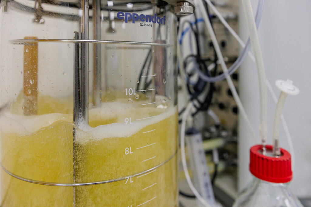 biobased solutions to plastic pollution